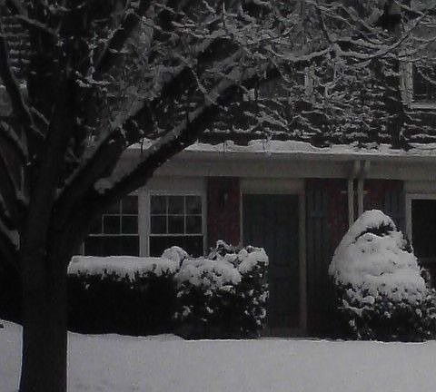 Snow Day