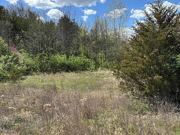 4th image of 2517 Creek Trail Pl