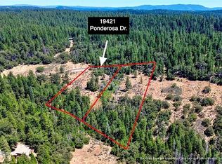 19421 Ponderosa Dr, Pioneer, CA 95666