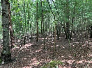 390 Sylvan Rd, Thurmond, NC 28683