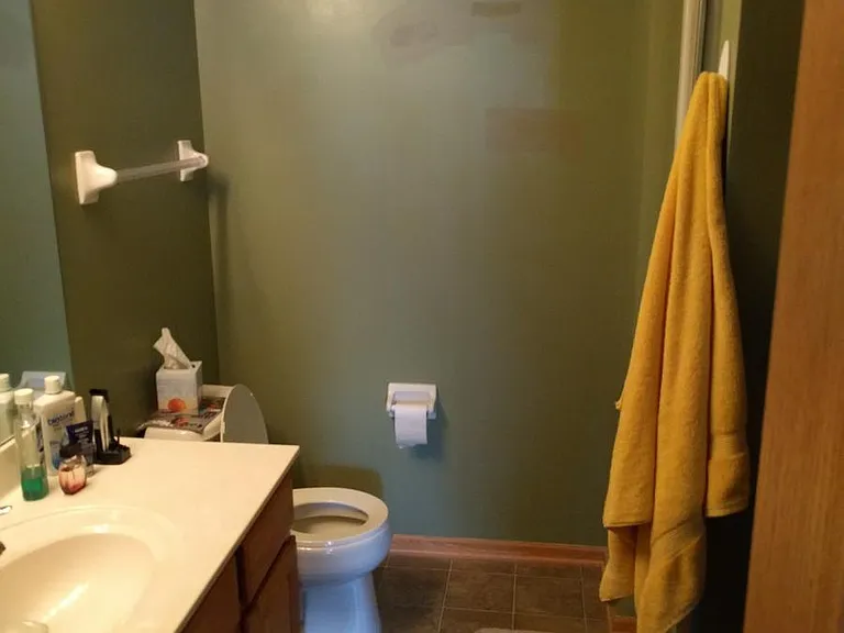 Master Bathroom (being repainted)
