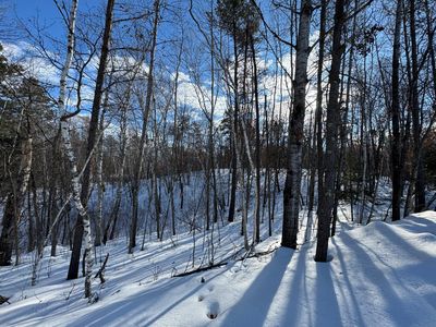 LOT 11 Firewood Trl, Park Rapids, MN, 56470