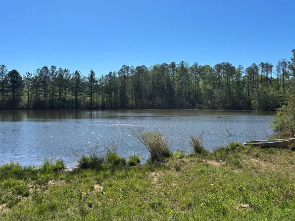 0 County Road 6618, Banks, AL 36005