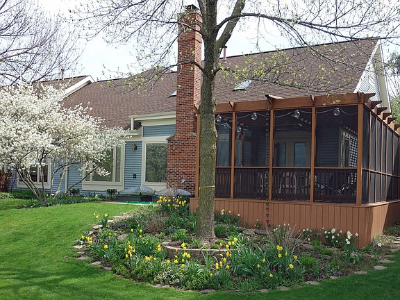 Back Yard in Bloom
