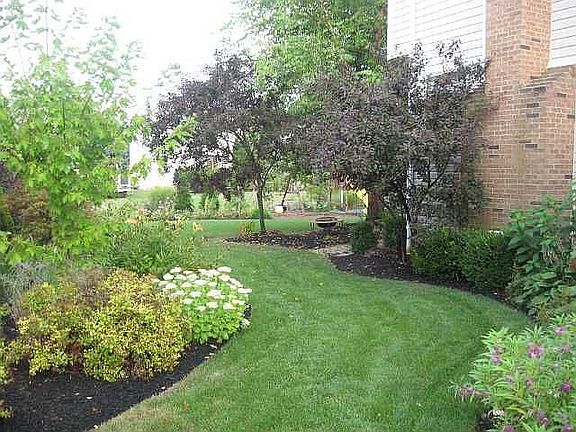 Side Yard