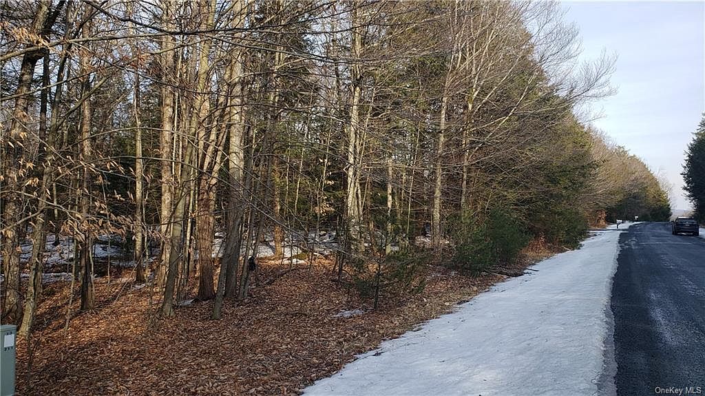 Haddock Road, Monticello, NY 12701 Zillow