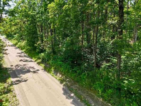 0 S Magee Rd, Boyne Falls, MI 49713
