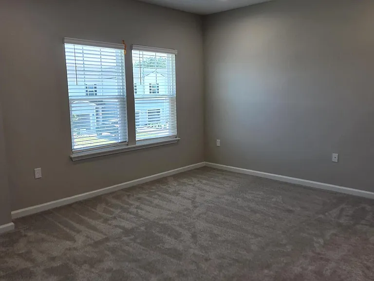 118 Pinebury Lane St — Photo 13
