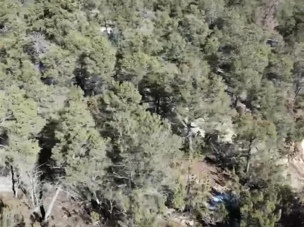 27 Tablazon Ct, Tijeras, NM 87059