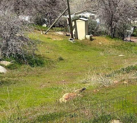 3rd image of 1711 Bodfish Canyon Rd