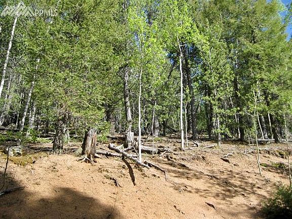 4th image of 2213 Pikes Peak Dr