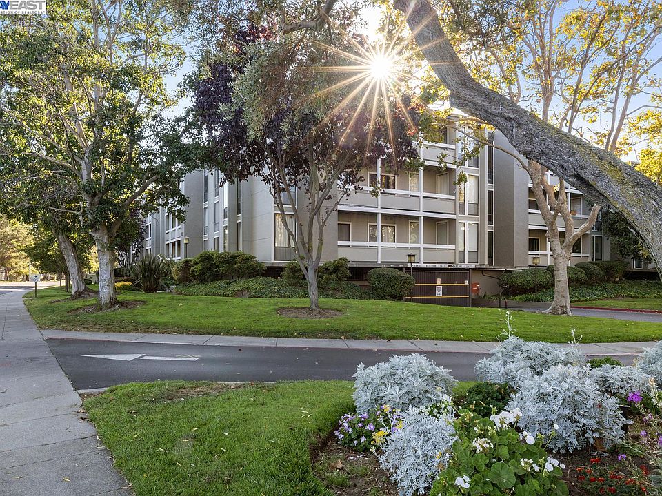 1st image of 1051 Beach Park Blvd APT 213