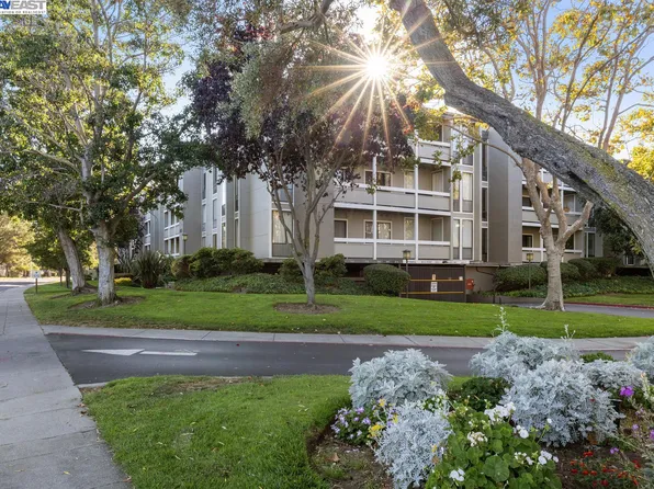 1051 Beach Park Blvd APT 213, San Mateo, CA 94404
