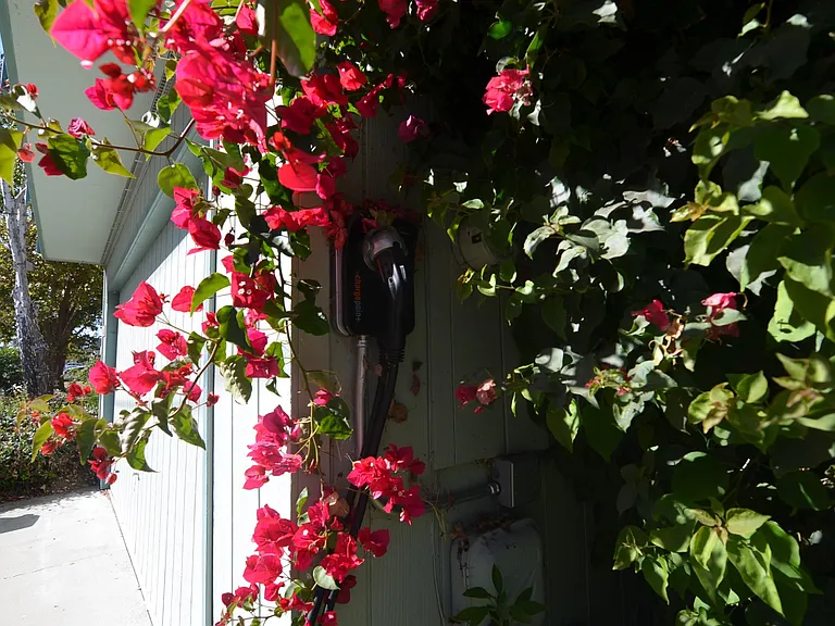 242 Alta Ave — Photo 21