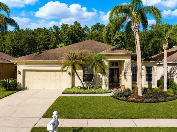 29520 Forest Glen Dr, Wesley Chapel, FL 33543
