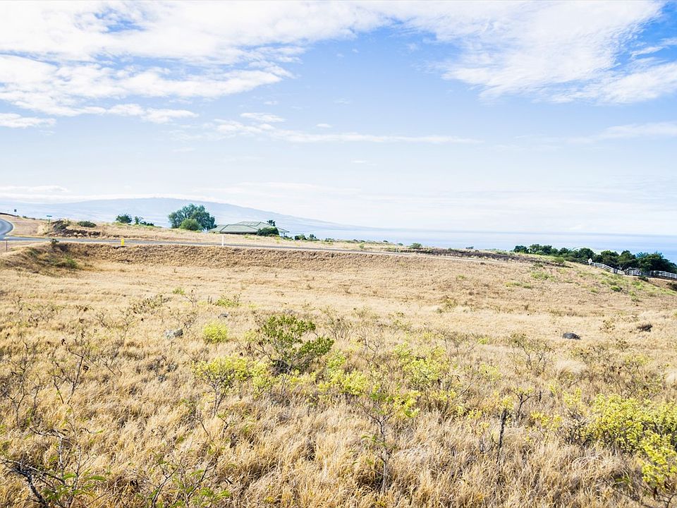 1st image of LOT 447 Lot 447