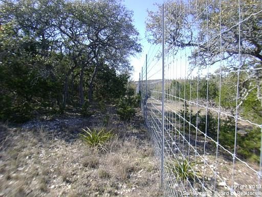 3rd image of 2457 Comal Spgs