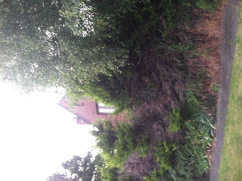 2nd image of 7903 8th Ave NE