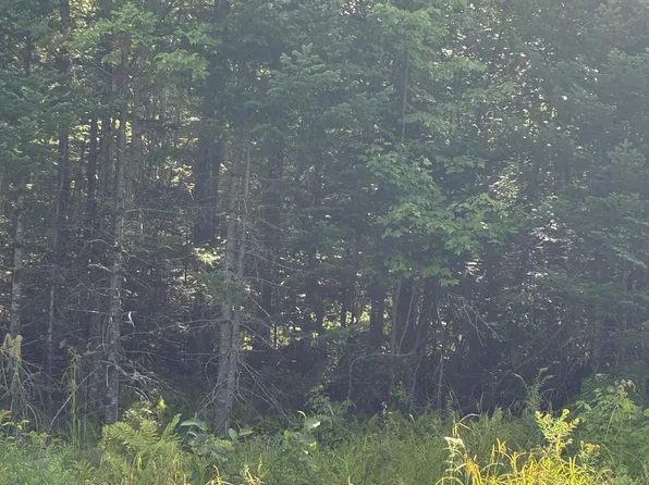 1256 Long Ridge Road, Burlington, ME 04417
