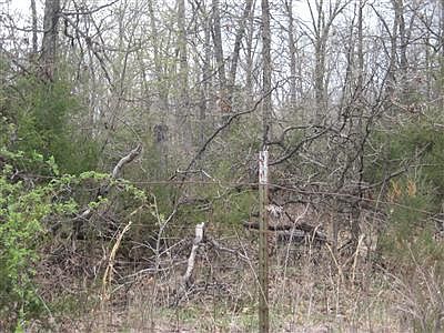 2nd image of 3368 Switchgrass Dr