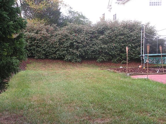 Lovely rear lawn and play area