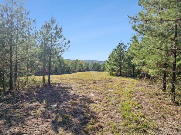 0 Cox Hollow Rd LOT 42, Dover, TN 37058