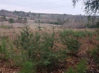 Persimmon, Gladewater, TX 75647