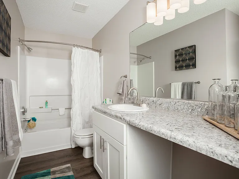 Full Bathroom View