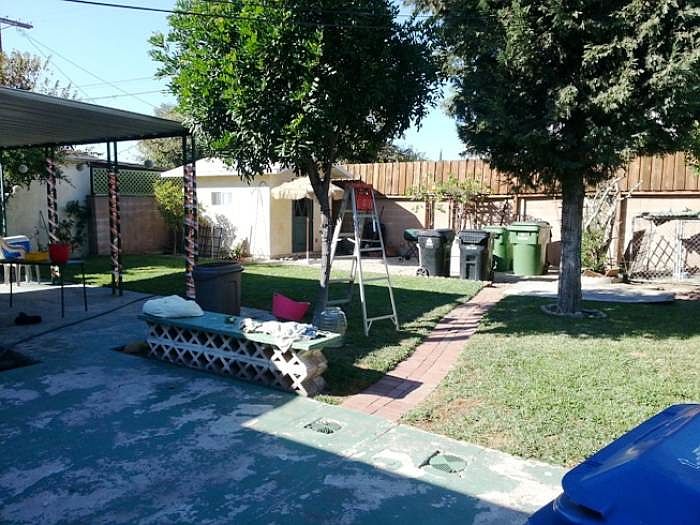Back Yard with Fruit Tree