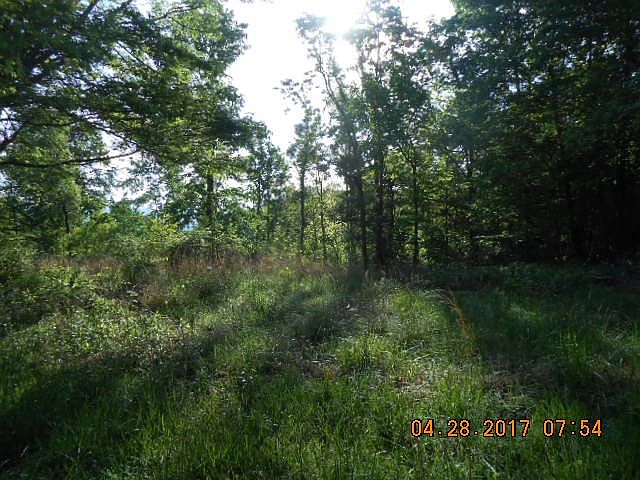 2nd image of 674 Bald Knob Mountain Rd