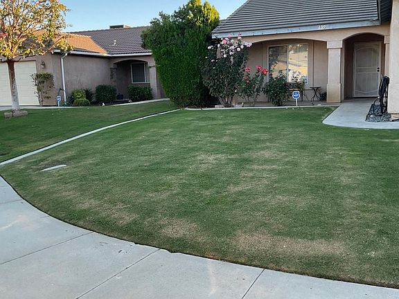 2nd image of 239 Bighorn Meadow Dr