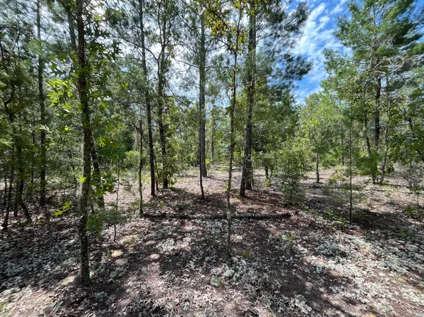 (undisclosed Address), Interlachen, FL 32148