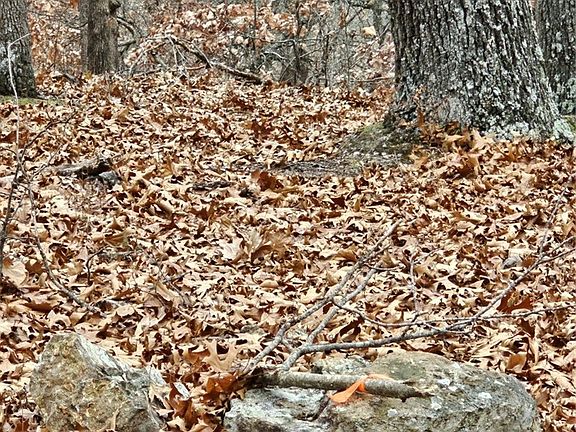 5th image of LOT 1448 Charlap Ln
