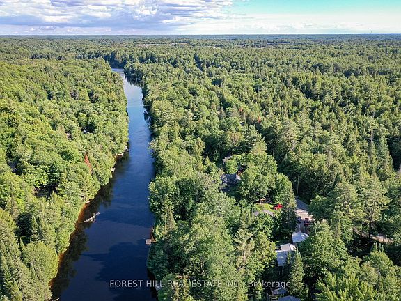 5th image of 183 Bonnell Rd