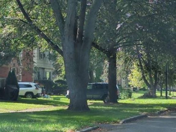 Exterior Neighborhood (street photo)