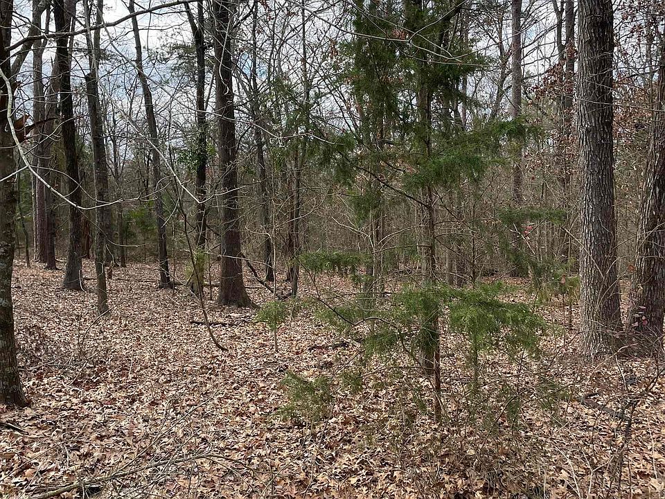 2nd image of County Road 2433