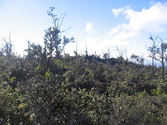 2nd image of 92-2682 Poinciana Dr Lot 6