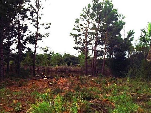 5th image of 2235 Branch Creek Dr