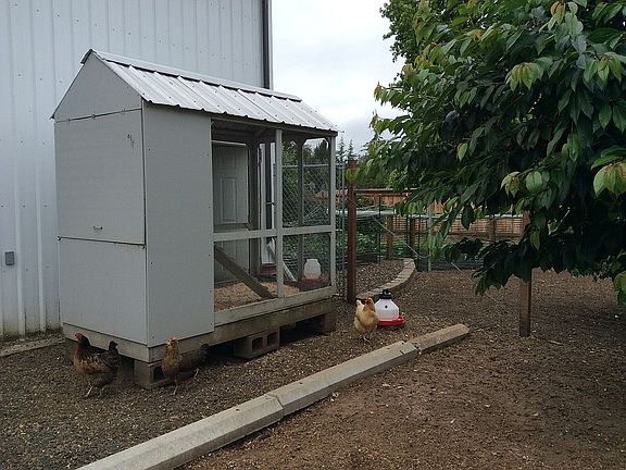 Chicken coop