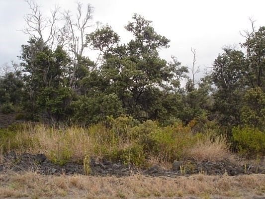 2nd image of Catamaran Ln Lot 9