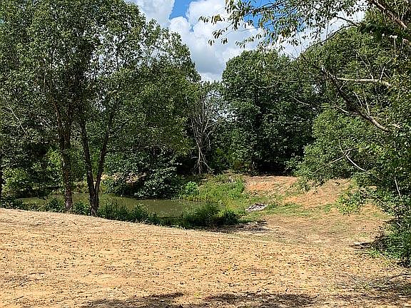 Backyard overlooking pond