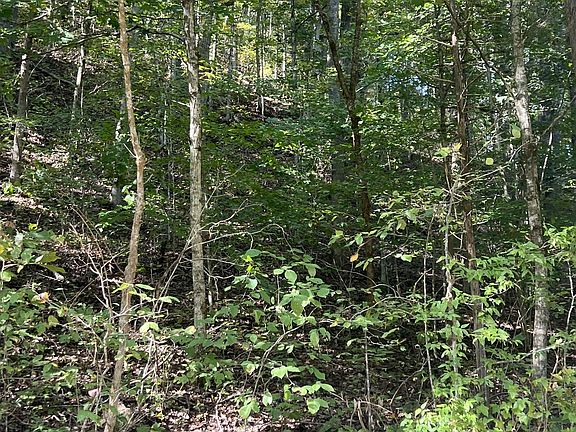 3rd image of 0 Neeley Creek Rd
