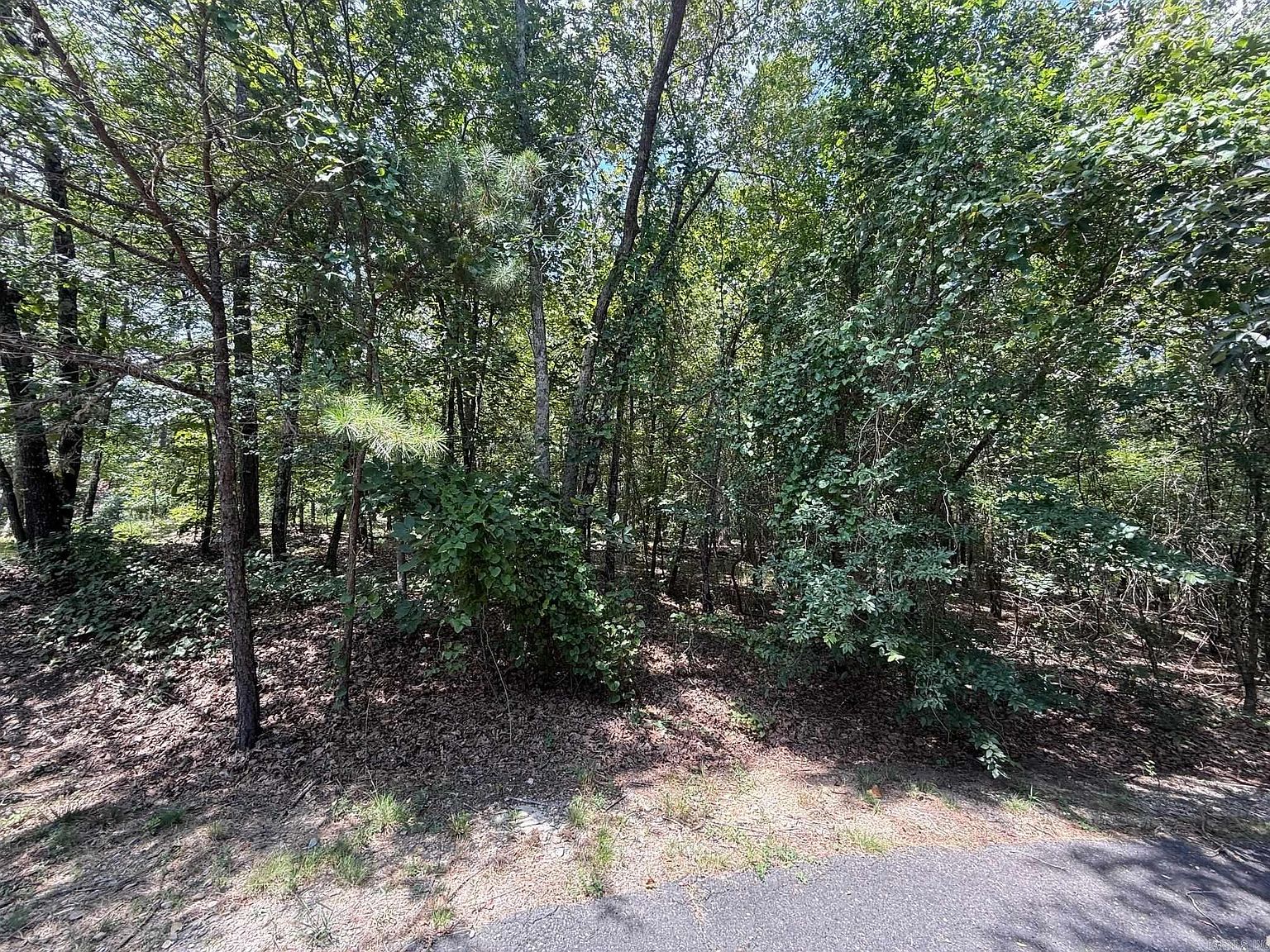 14 Versalles Ln