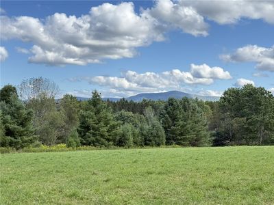 L11 Mountain Pond View Rd #11, Gilboa, NY, 12076