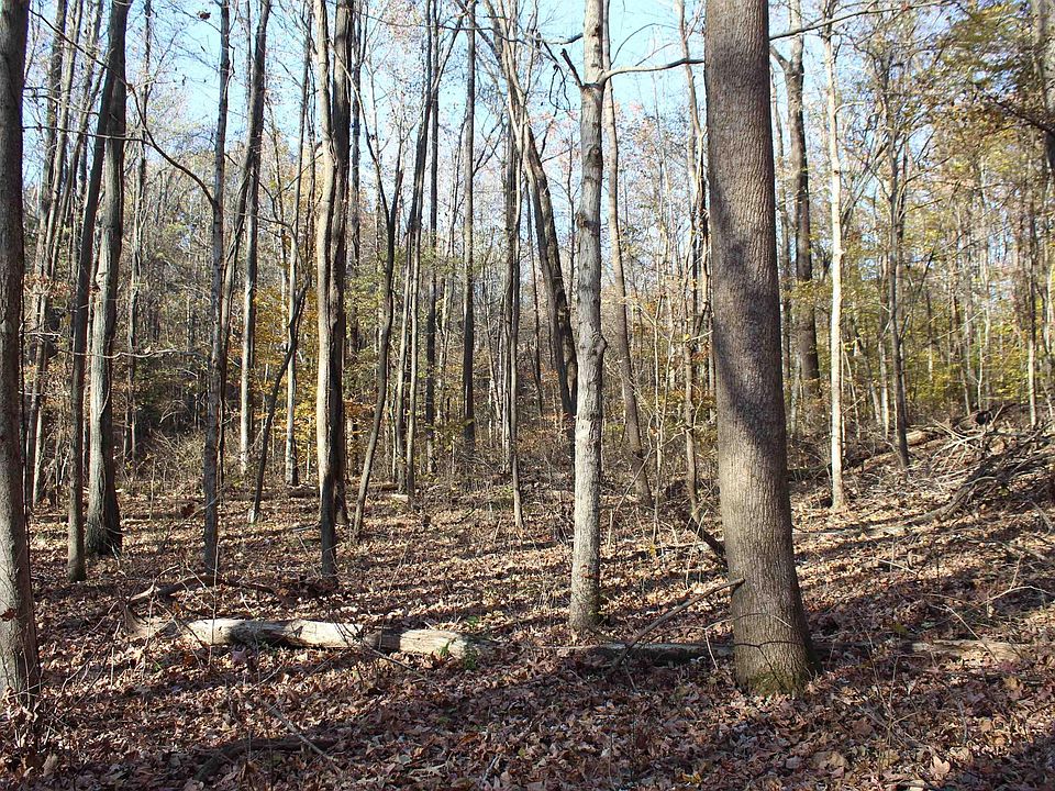 1st image of 0 Parkersville Rd