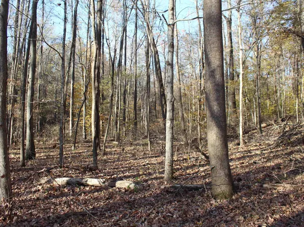 0 Parkersville Rd, Eddyville, KY 42038
