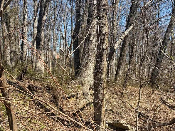 Gainesville St SE, Washington, DC 20020