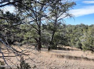 31790 W La Gatito Ln, Seligman, AZ 86337