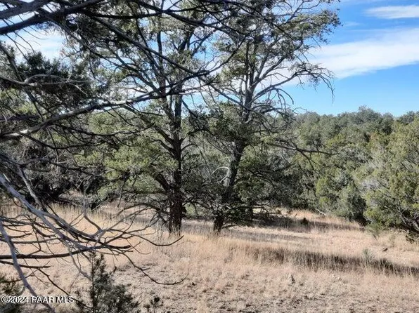 31790 W La Gatito Ln, Seligman, AZ 86337