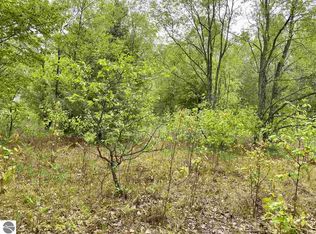 0 W Walenjus Rd, Falmouth, MI 49632